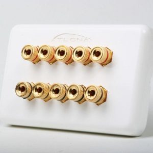 Atlona AT80100 HIGH-QUALITY WALL PLATE FOR 5 SPEAKERS
