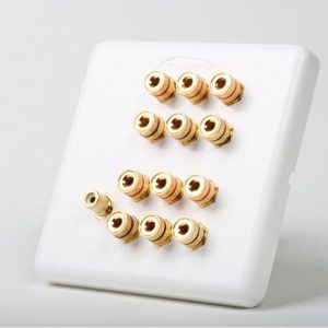Atlona AT80120-RCA 6 Speaker Wall Plate With Subwoofer Input