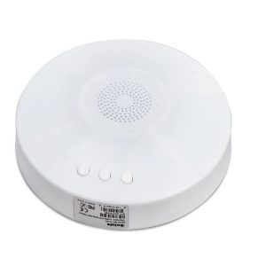 Bolide BE-AVAD Audible and Visual Alarm Device