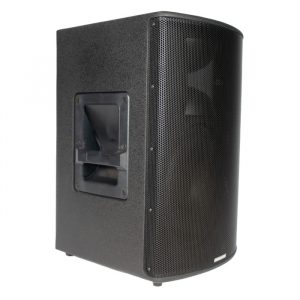 Soundtube PS1090i 10 inch Multi-Purpose Passive Loudspeaker/300 W Continuous/93 dB Sensitivity