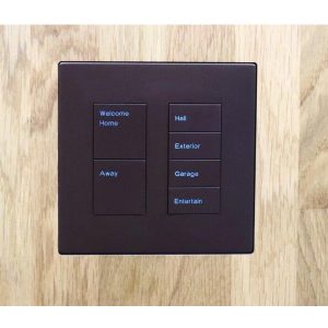 Wall-Smart 028-1-907 Solid Surface Mount for Savant Ascend WFB-2Gang