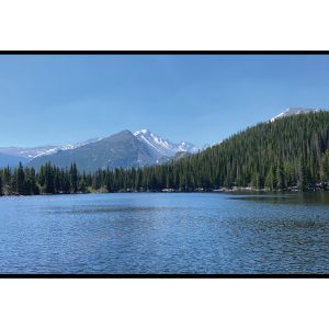 Hall Technologies HT-HV43 43in 4K UHD 3840×2160 120Hz LED Signage Display / 16:9 / Stereo Audio