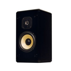 Induction Dynamics S2-BG Two-Way Single Loudspeaker (Black Gloss)