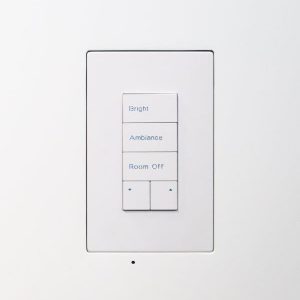 Wall-Smart 028-1-904 New Construction Mount for Savant Ascend WFB-1Gang