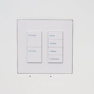 Wall-Smart 028-1-906 New Construction Mount for Savant Ascend WFB-2Gang