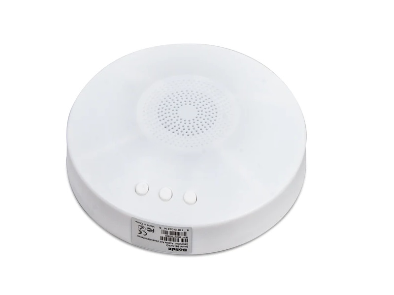 Bolide BE-AVAD Audible and Visual Alarm Device