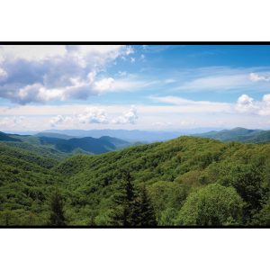 Hall Technologies HT-HV55 55in 4K 3840x2160 120Hz LED Signage Display 16:9 Stereo Speakers VESA