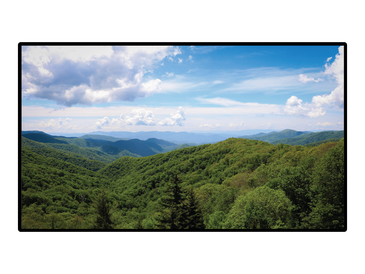 Hall Technologies HT-HV55 55in 4K 3840×2160 120Hz LED Signage Display 16:9 Stereo Speakers VESA