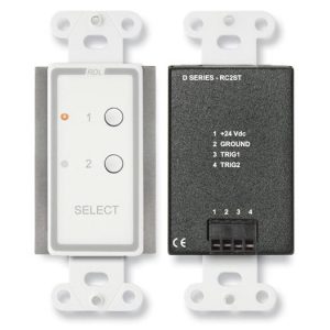 RDL D-RC2ST 2-Channel Remote Control / Pushbuttons / LED Indicators / 24 Vdc