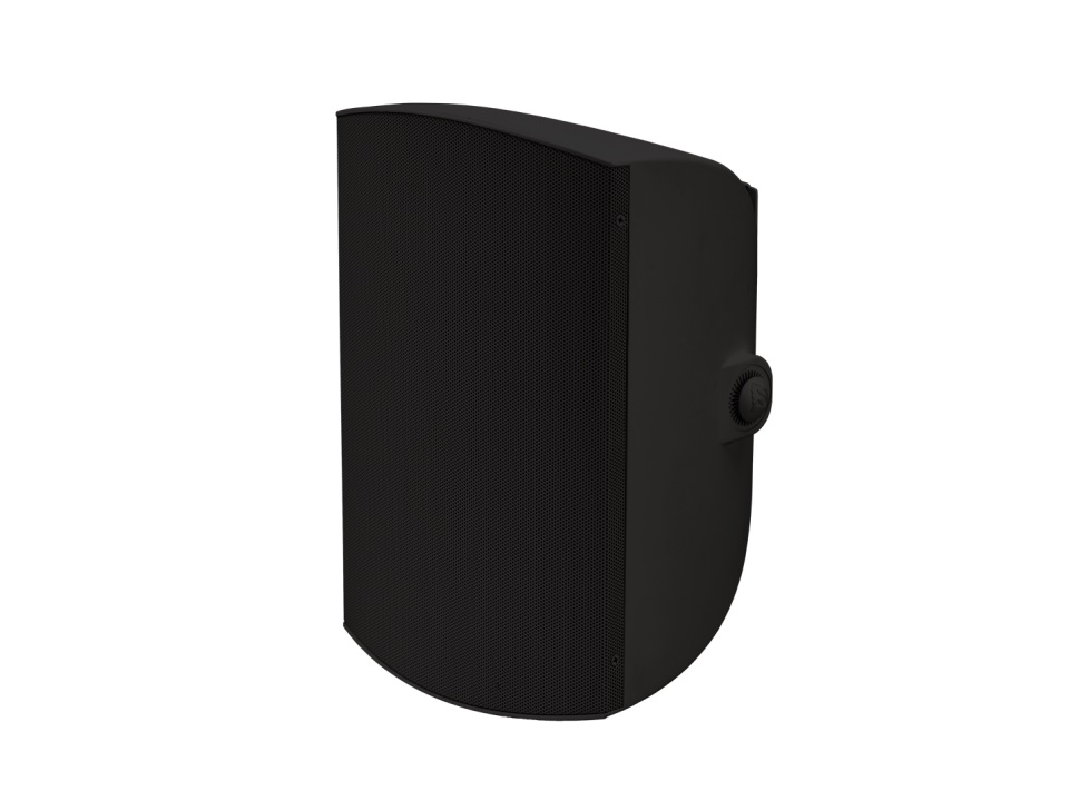 Soundtube IPD-SM52-EZ-WX-BK 5.25 inch IP-Addressable/Weather-Resistant Dante-Enabled Speaker (Black)