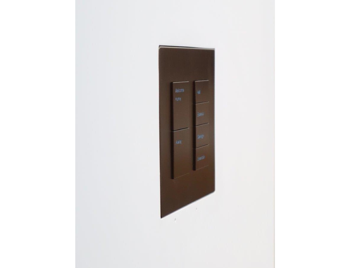 Wall-Smart 028-1-906 New Construction Mount for Savant Ascend WFB-2Gang - Image 2
